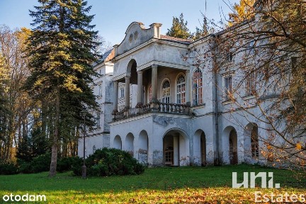 Wyjątkowy Pałac Ostaszewskich | Wzdów | Okazja