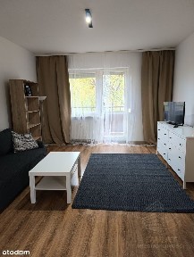 Mieszkanie dwa pokoje na Wynajem!