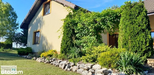 Dom położony w spokojnej i cichej oklicy.