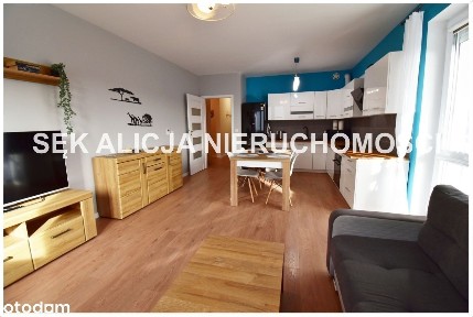 Świebodzice, świdnicki, dolnośląskie