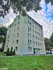 Kawalerka na Starówce przy parku - ul.Kuśnierzy