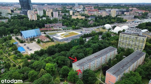 Dwa Pokoje z Piwnicą- ul. Królewicza