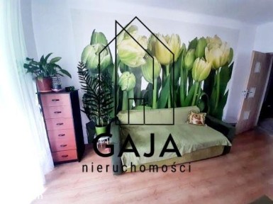 Śródmieście, Częstochowa, śląskie