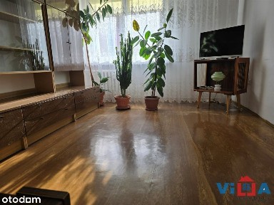 Centrum, Zielona Góra, lubuskie