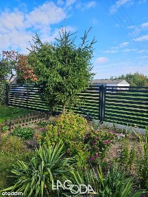 Bezczynszowe mieszkanie z ogrodem i bud. gosp.