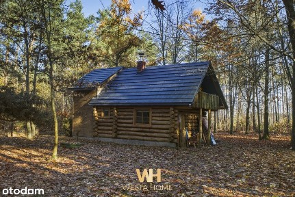 Domek w otoczeniu lasu przy rzece Wkra.