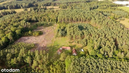 Cisza, spokój, las - nieruchomość z duszą