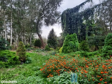 Wyjątkowa posiadłość w Józefinie! 1,8 ha.