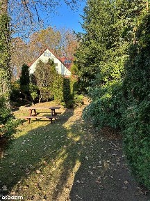 Połowa willi pod lasem