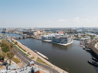 BEZPOŚREDNIO ul. Celna - Lokal na wynajem - usługi