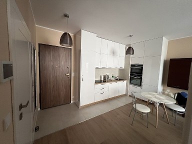 OD ZARAZ! PL/ENG. Apartament w centrum Warszawy, ul. Ogrodowa 31