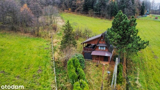 87 ar + Domek pod lasem z możliwością rozbudowy - BEZ Prowizji