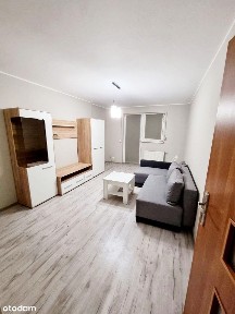 ul. ks. Konstantego Damrota, Ołbin, Śródmieście, Wrocław, dolnośląskie