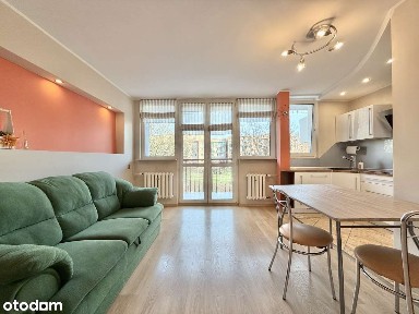 Komfortowe 3-pokojowe mieszkanie z widokiem na zieleń - blisko centrum