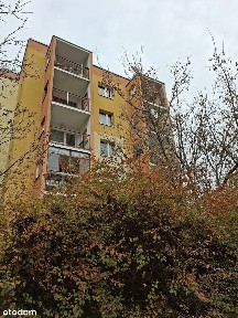 ul. Liściasta, Teofilów Przemysłowy, Bałuty, Łódź, łódzkie