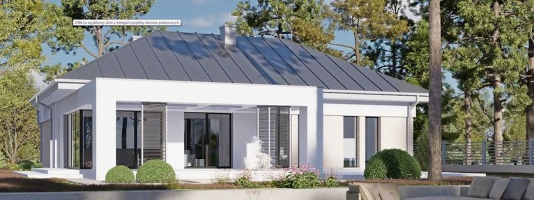 Dom jednorodzinny Z384