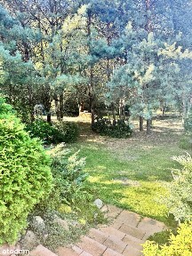 Dom 260m2 z własnym Laskiem