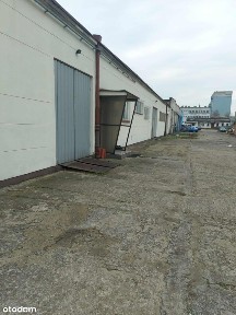 Płońsk, płoński, mazowieckie