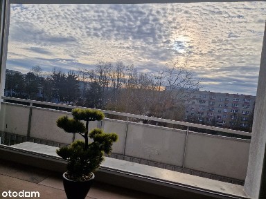 Retkinia, Polesie, Łódź, łódzkie