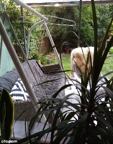 Mieszkanie z tarasem i ogródkiem przy lesie