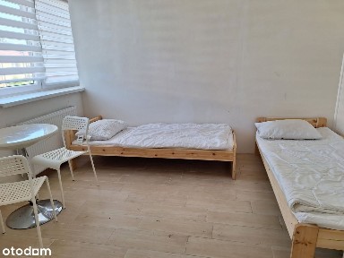 PROWIZJA 0 NOWY Dom Na Firmę Na Wynajem 2 osobne mieszkania