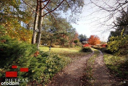 dla konesera / też inwest. Puszcza Zielonka