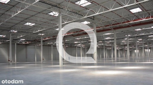 Nowoczesny A Klasowy Magazyn W Woj. Lubuskim