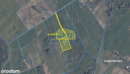 Siedlisko 1,5 ha, Zajączkowo k. Połczyna-Zdroju