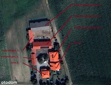 Gospodarstwo, Siedlisko, Agroturystka, Magazyny, Stawy