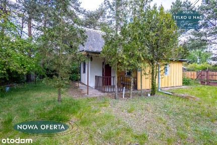 Wymarzone wakacje jedyne 20 km od centrum Sieradza