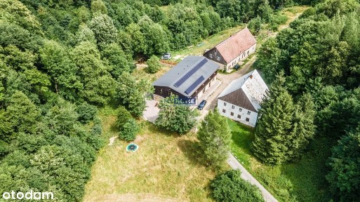 Gotowy biznes na sprzedaż + prywatny dom