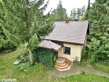 Piękny duży dom blisko Torunia, duża działka/ 6 pokoi/ 3063m2 działka