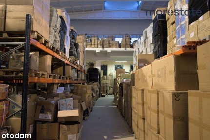 ul. 1905 Roku, Planty, Radom, mazowieckie