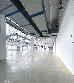 Powierzchnia magazynowo-produkcyjno-biurowa 3585 m2 w Pabianicach