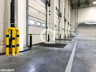 Zarzew, Widzew, Łódź, łódzkie