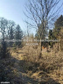 Dom wolnostojący Ozimek