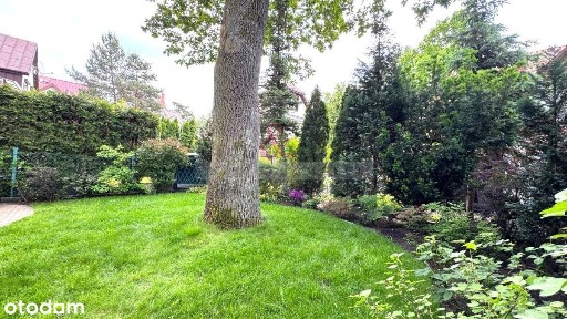 Cisza, natura i miejski komfort