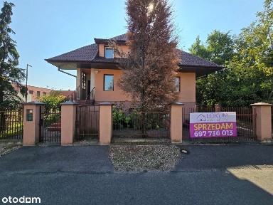 Kaptur, Radom, mazowieckie