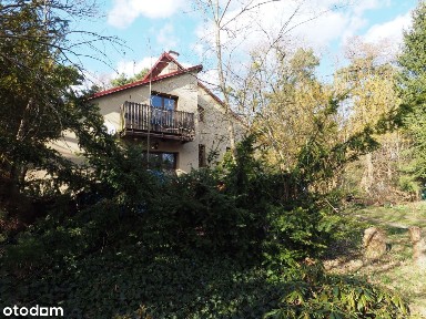 Dom położony na dużej zalesionej działce.