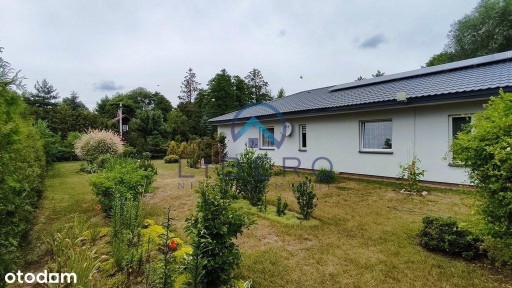 Wygodny dom otoczony zielenią