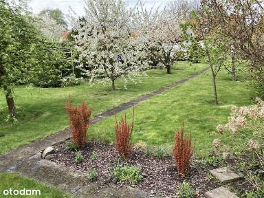 Dom bliźniak - Malbork Kałdowo