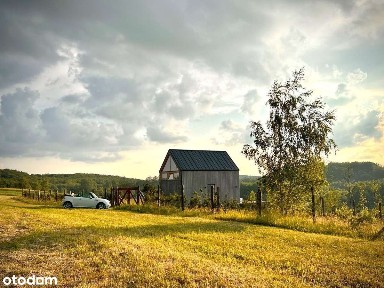 Całoroczny domek na Kaszubach! 6 tys. m² działki!