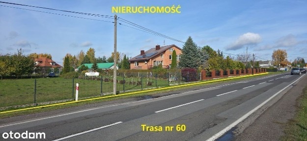 Dom, 300 m², Leszczynek