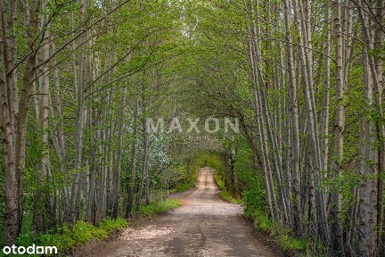 Piękny dom, Purda, Natura 2000
