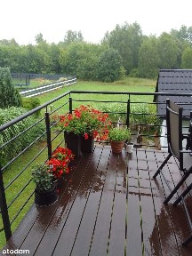 Dom z ogrodem w Osiecznicy- 2 mieszkania w cichej okolicy - nowa cena