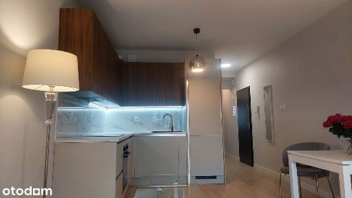 Plewiska, Komorniki, poznański, wielkopolskie