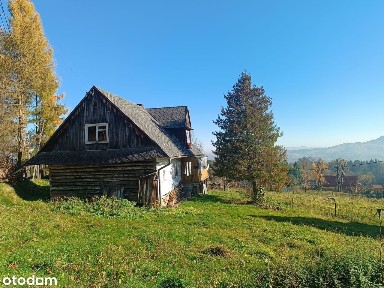 Sprzedam drewniany dom z początku XX wieku w wyjątkowej lokalizacji !