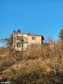 Sprzedam dom w Płazie, z dużą działką !