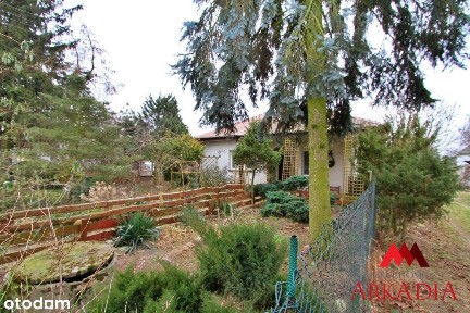 Siedlisko w Zakrzewie