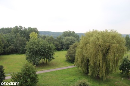 Osiedle Paderewskiego-Muchowiec, Katowice, śląskie